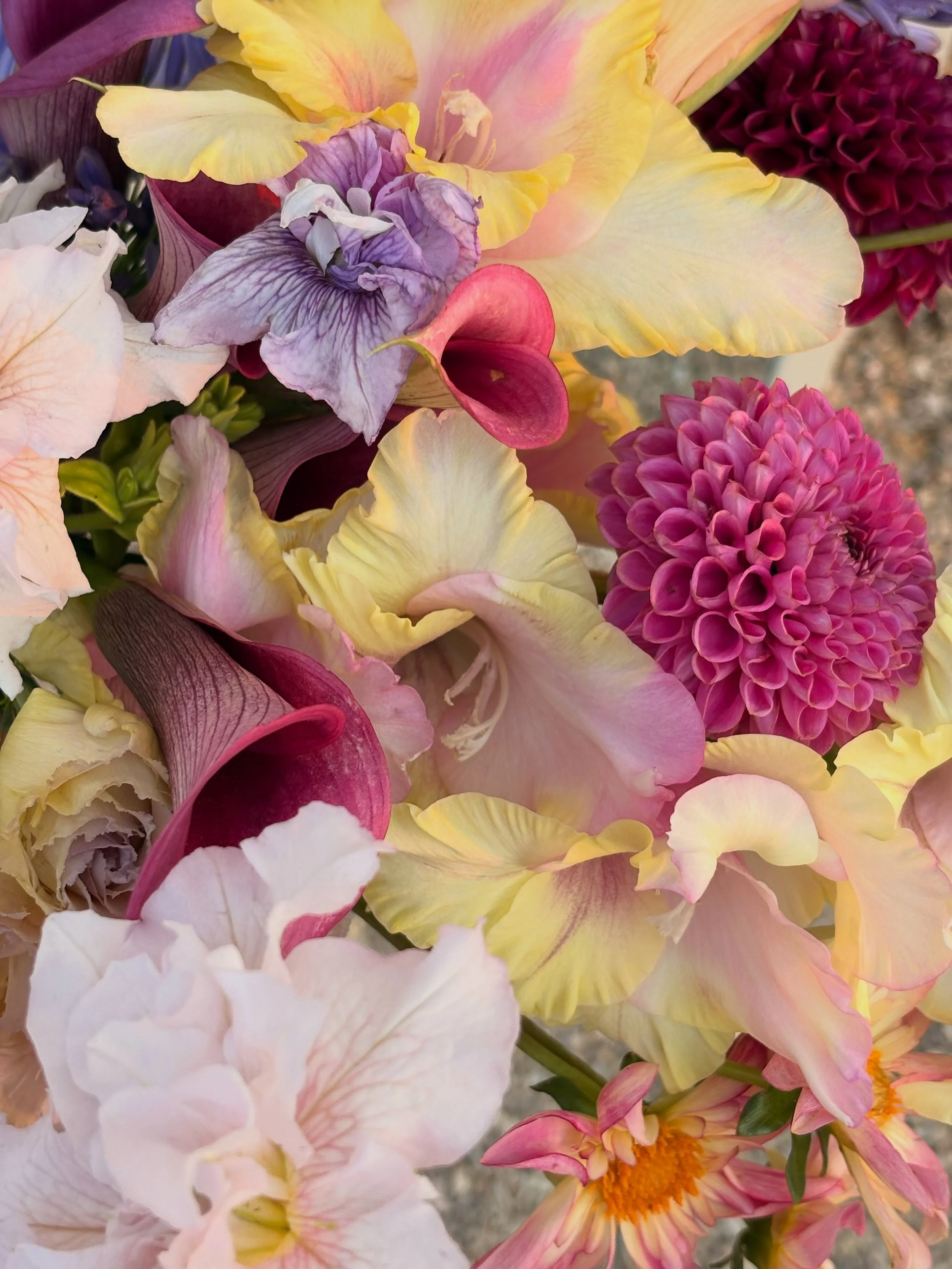 A little glimpse of the last few weeks of flowers. 🌸

#farmerflorist #yellowhousegardens #boiseweddingflorist #idahoweddingflorist #idahoflowerfarm
