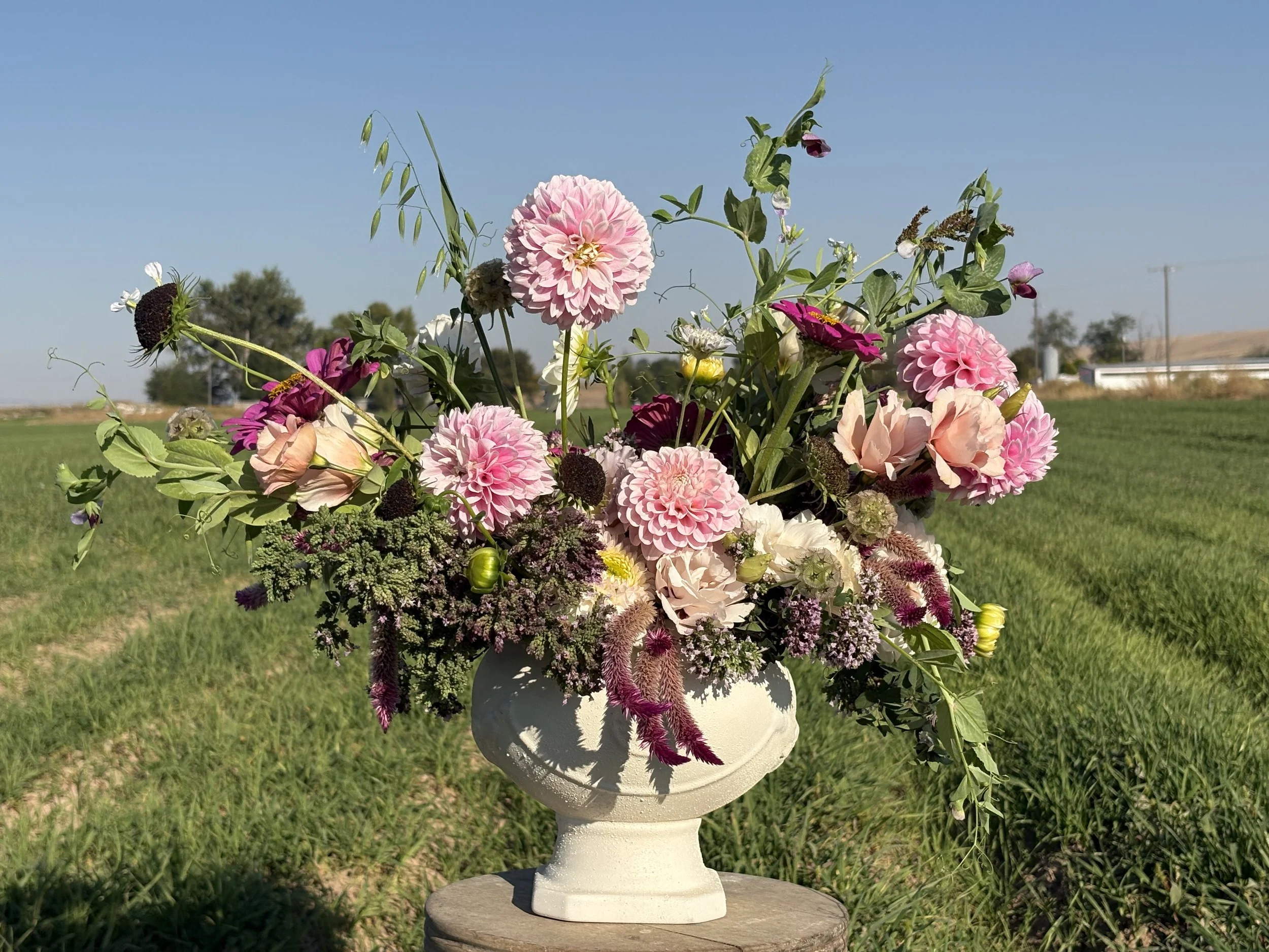 Seasonal Arrangement Gift Card