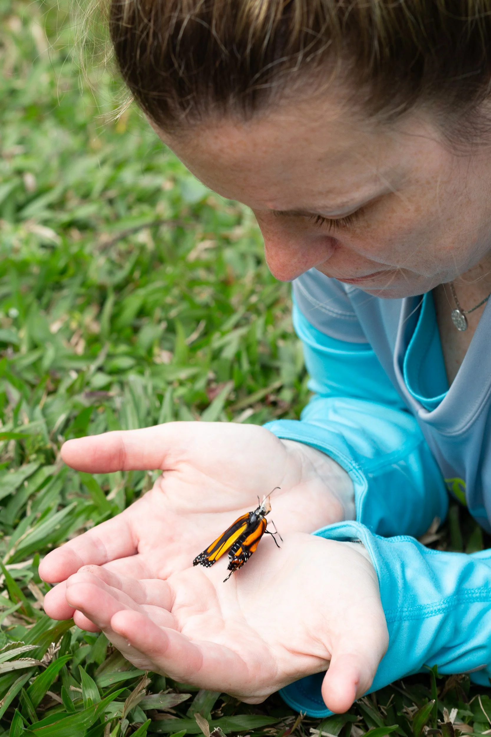 Hands gently holding a monarch butterfly resting in the grass.Captured by Two Dogs & A Camera Photography.