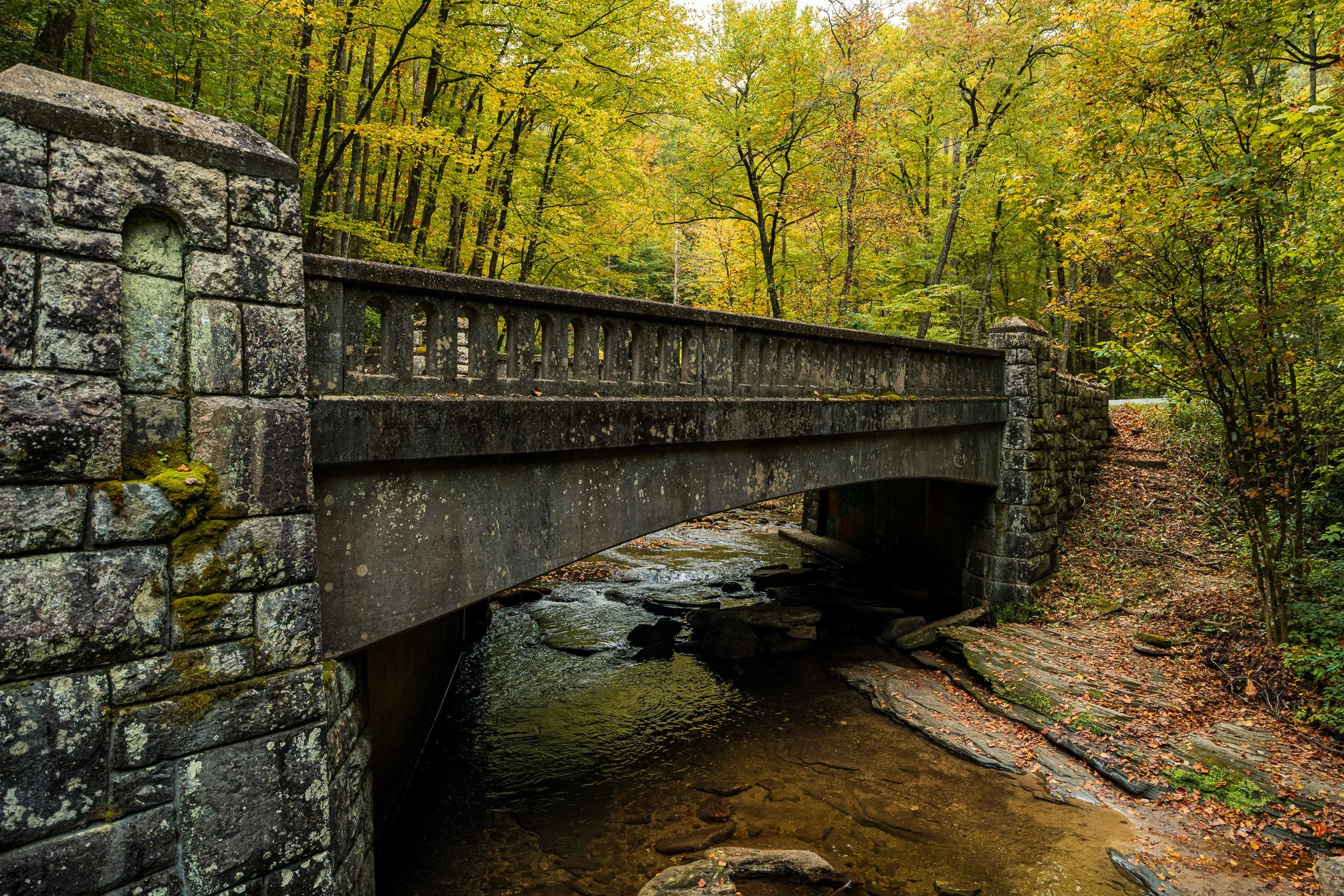 Weathered stone bridge over a mountain stream surrounded by golden autumn foliage in the Pisgah National Forest.