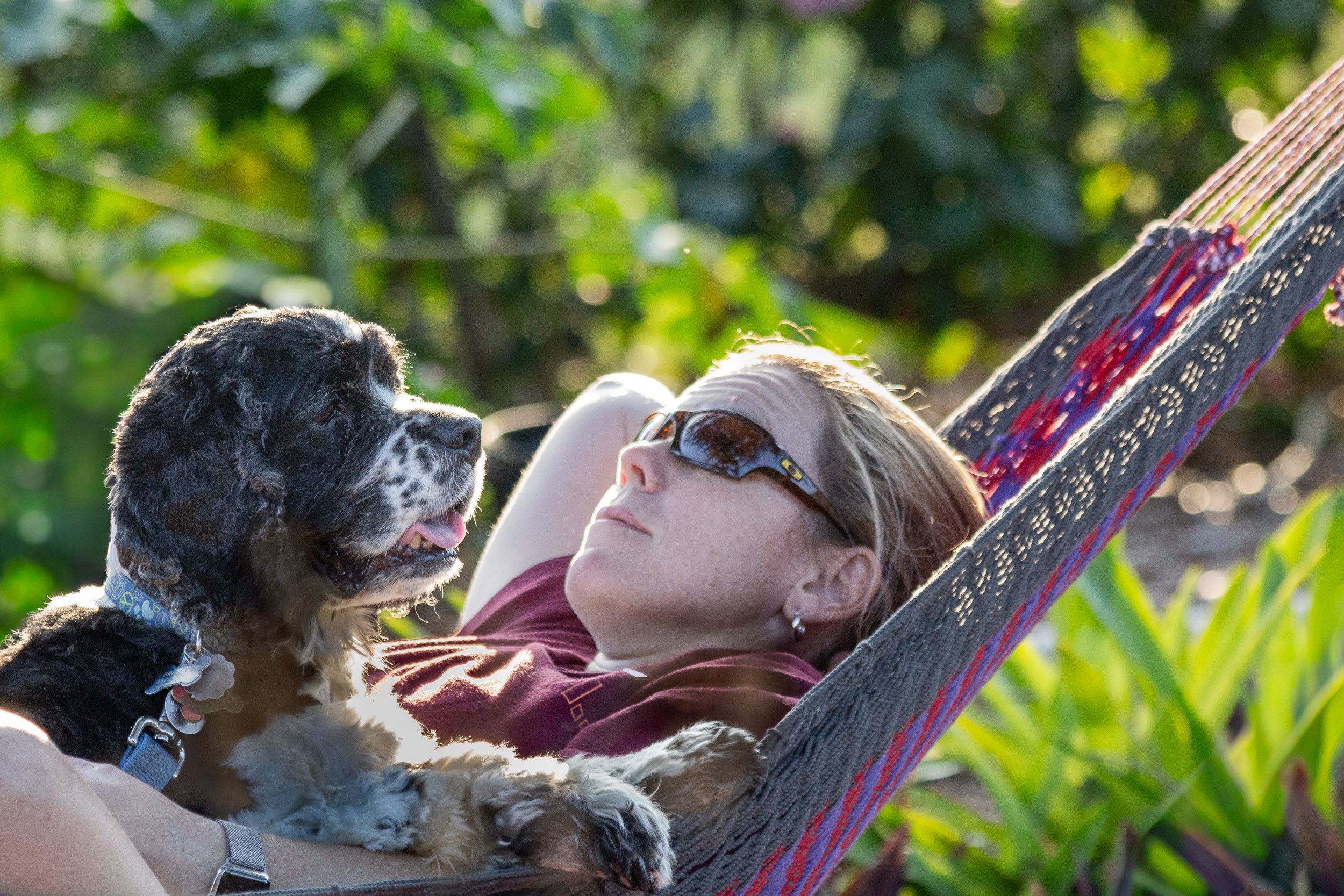 Leigh Anne Brewster relaxing in a hammock with Roscoe, whose companionship helped inspire the story behind Two Dogs & A Camera.