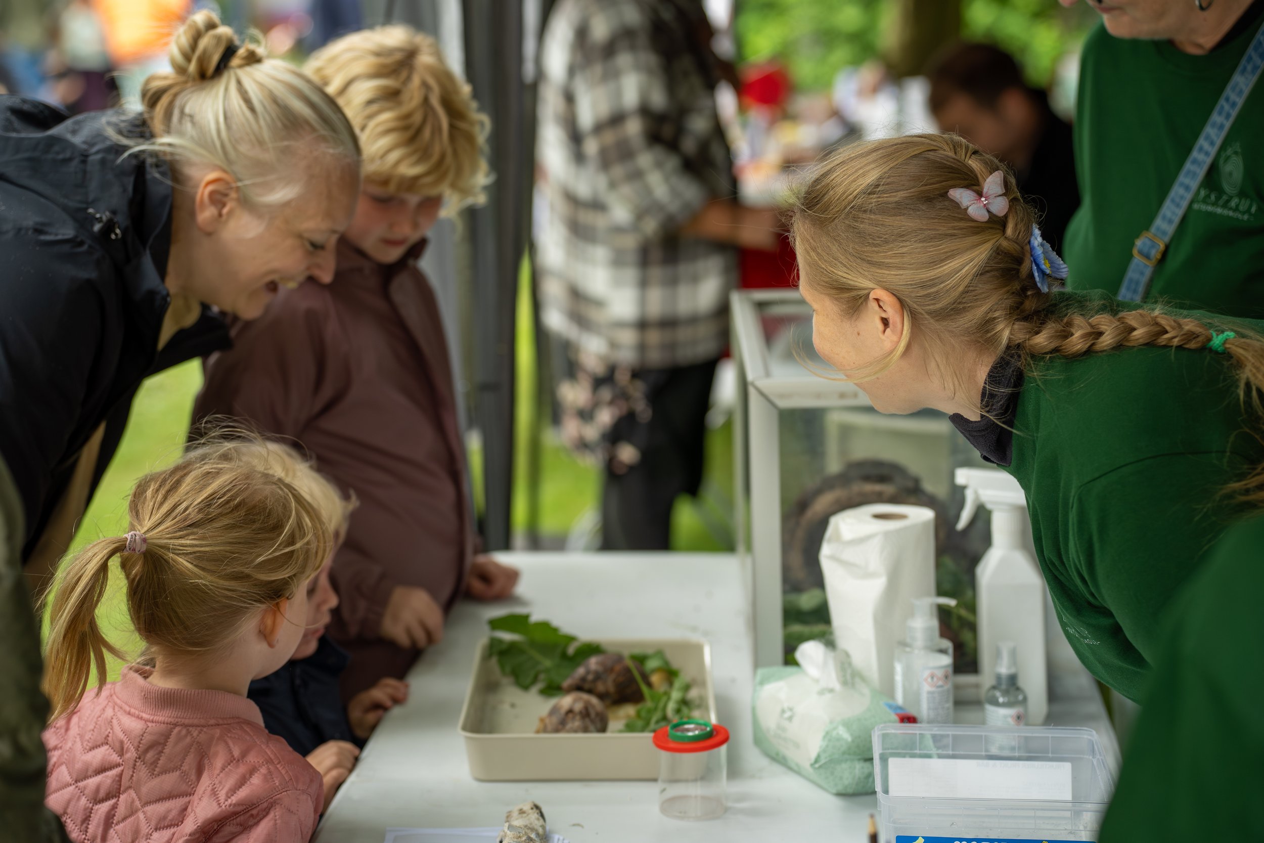Børn og voksne undersøger planter og dyr ved en udendørs informationstand, hvor der er forskellige planter og naturmaterialer.