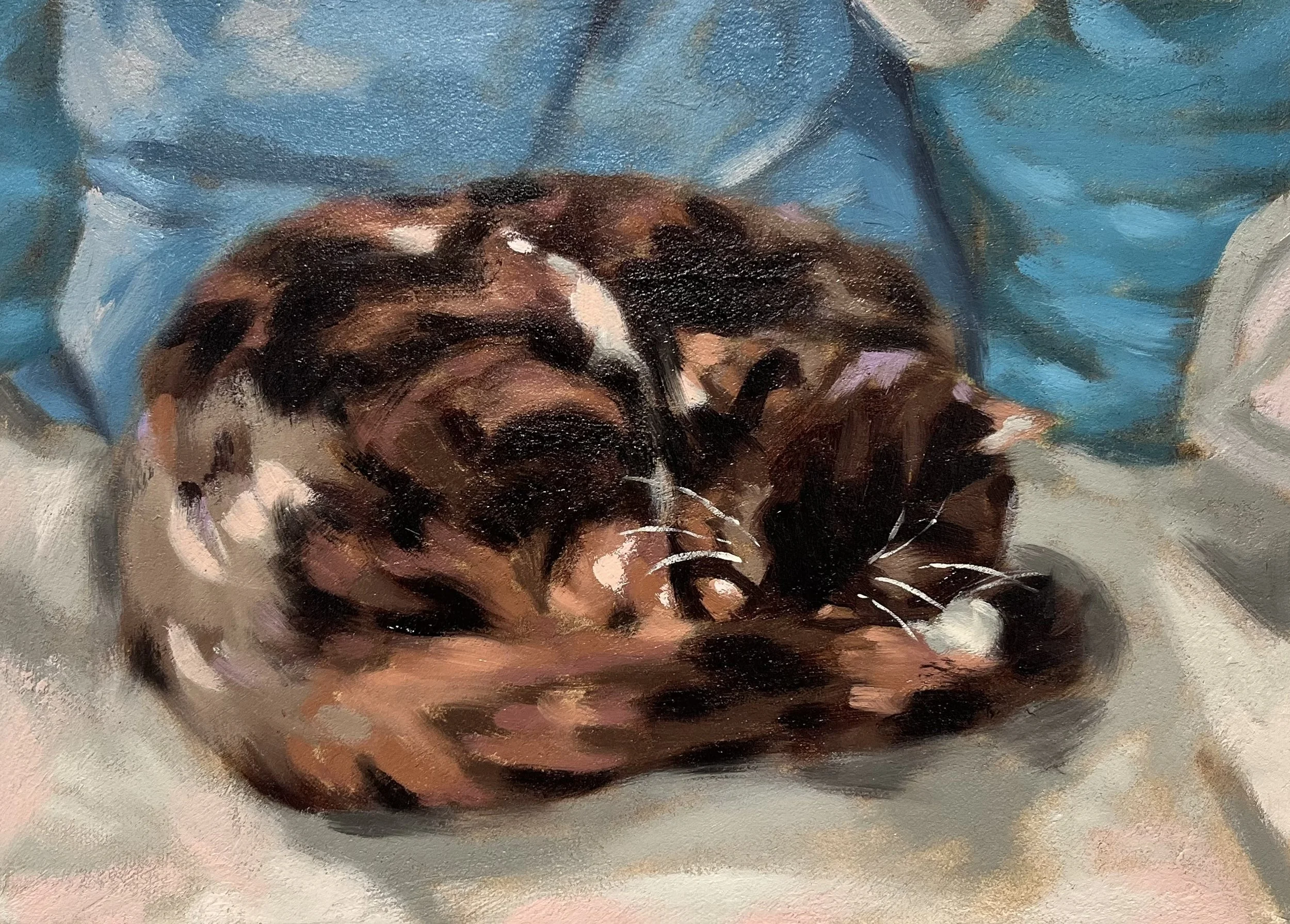 Tucked (2025), Oil Paint on Canvas, 16 x 12 in