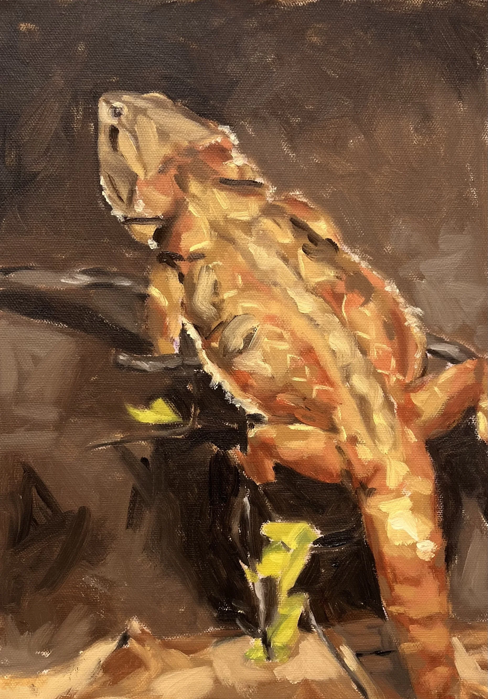Untitled (2025), Oil Paint on Canvas, 12 x 16 in