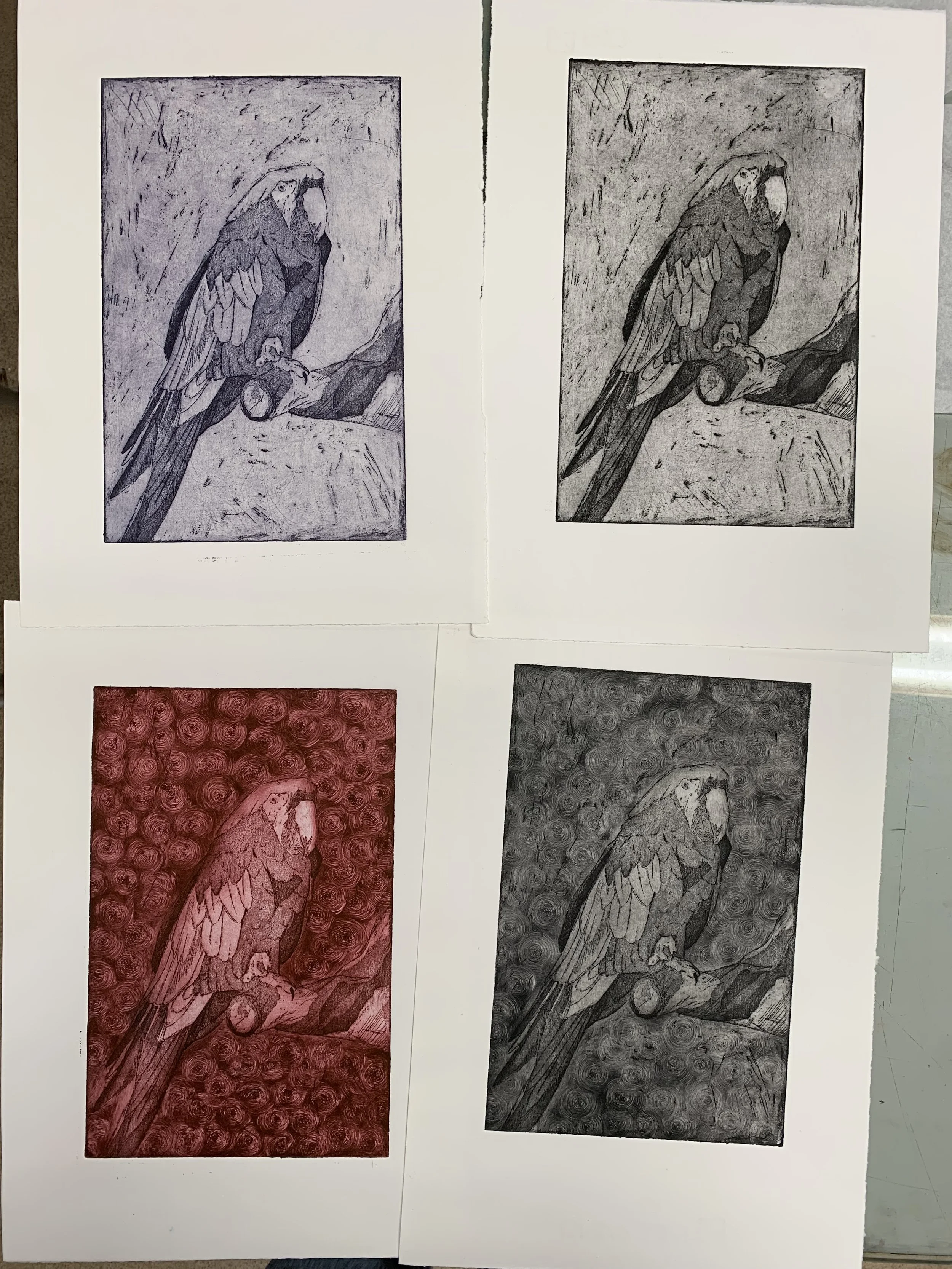Untitled (2024), Etching, 11.7x16.5in