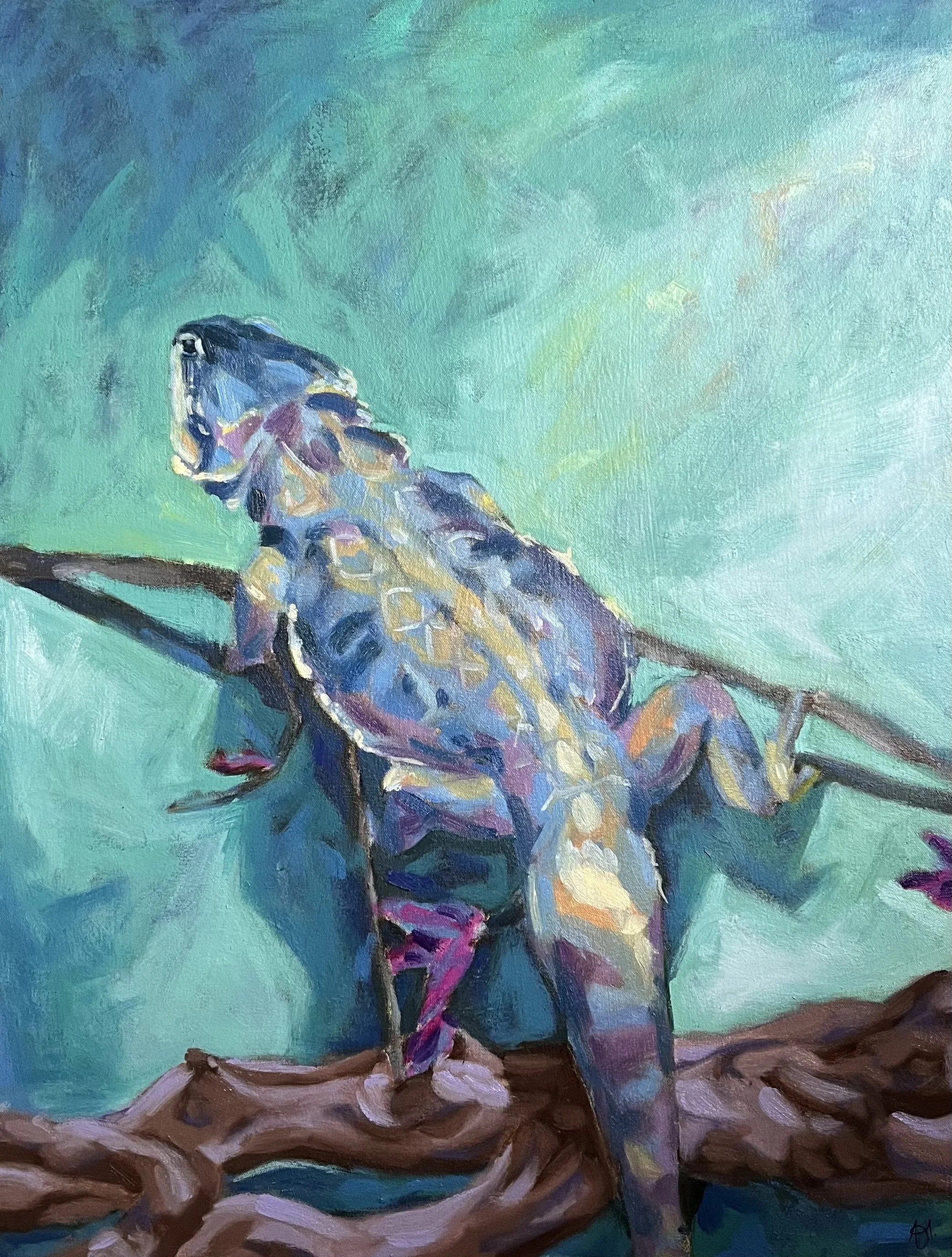 Untitled (2026), Oil Paint on Canvas, 20 x 24 in