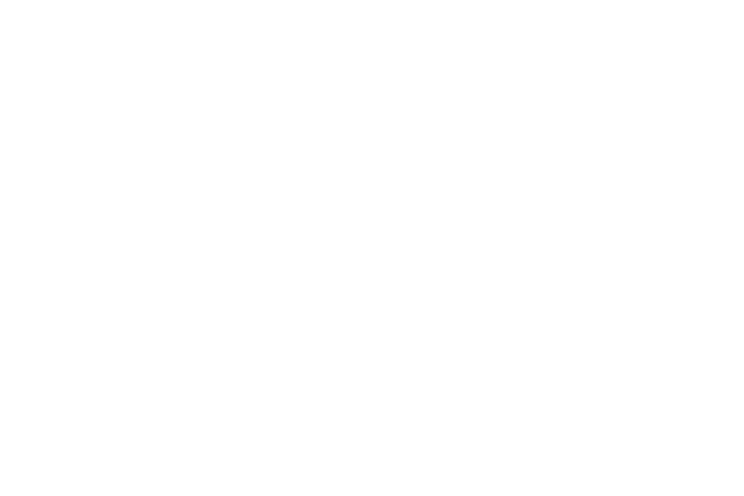 Insight Realty Partners
