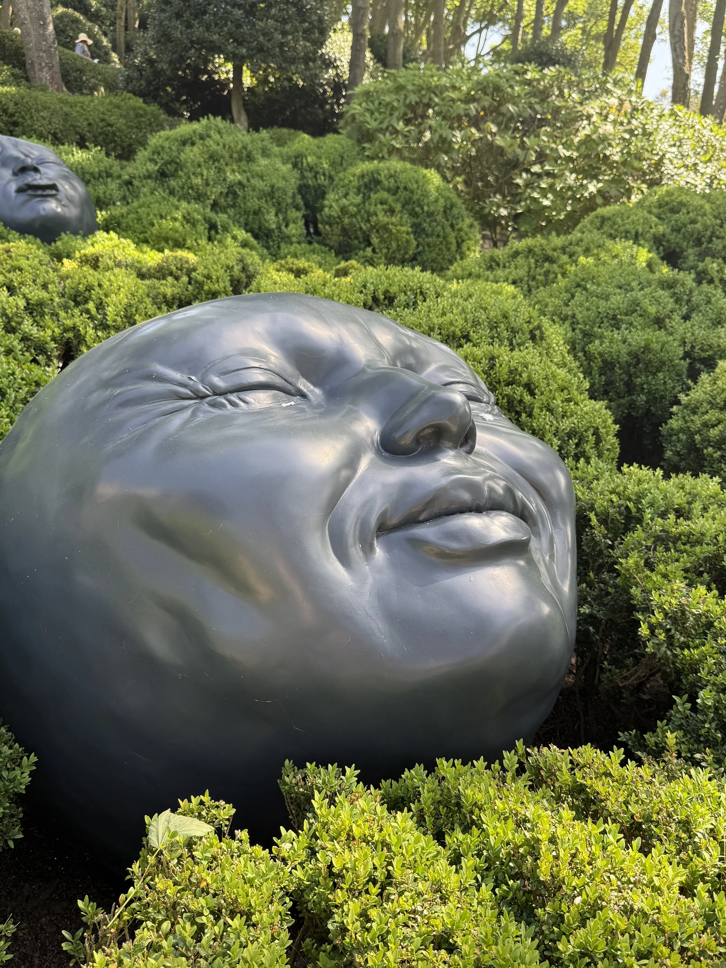 A large, shiny metallic sculpture of a human face lying on the ground surrounded by green bushes in a park.