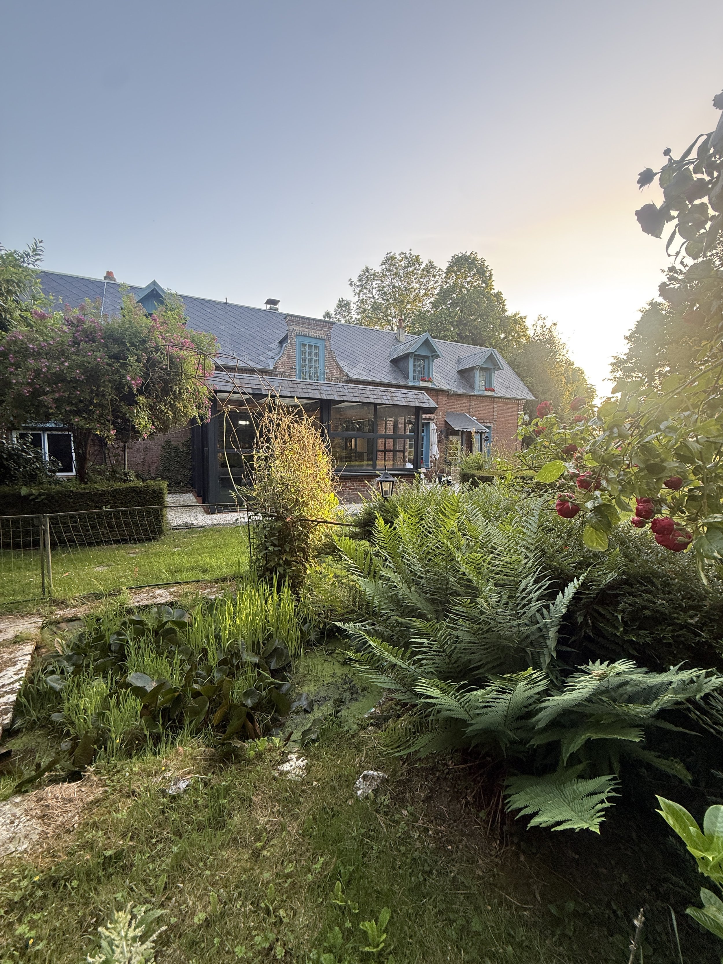 A house with a brick exterior and blue window frames in a lush garden with flowers, plants, and a pathway. The sun is shining from the right side of the image.