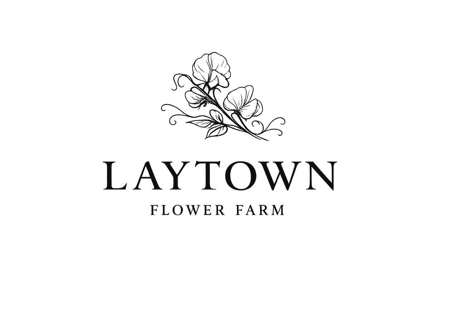 Laytown Flower Farm 