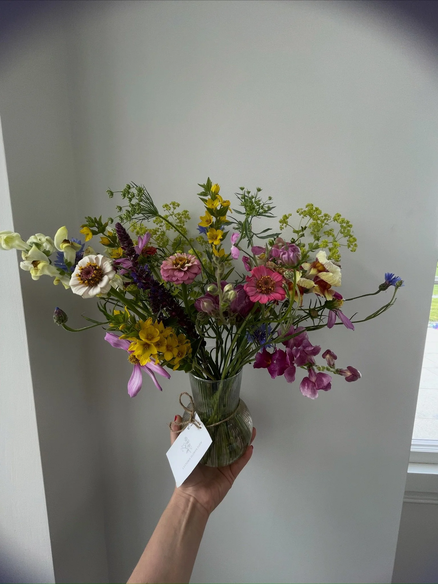 583BB4EF-5D04-47FD-8C52-F258EAFED455.jpeg
