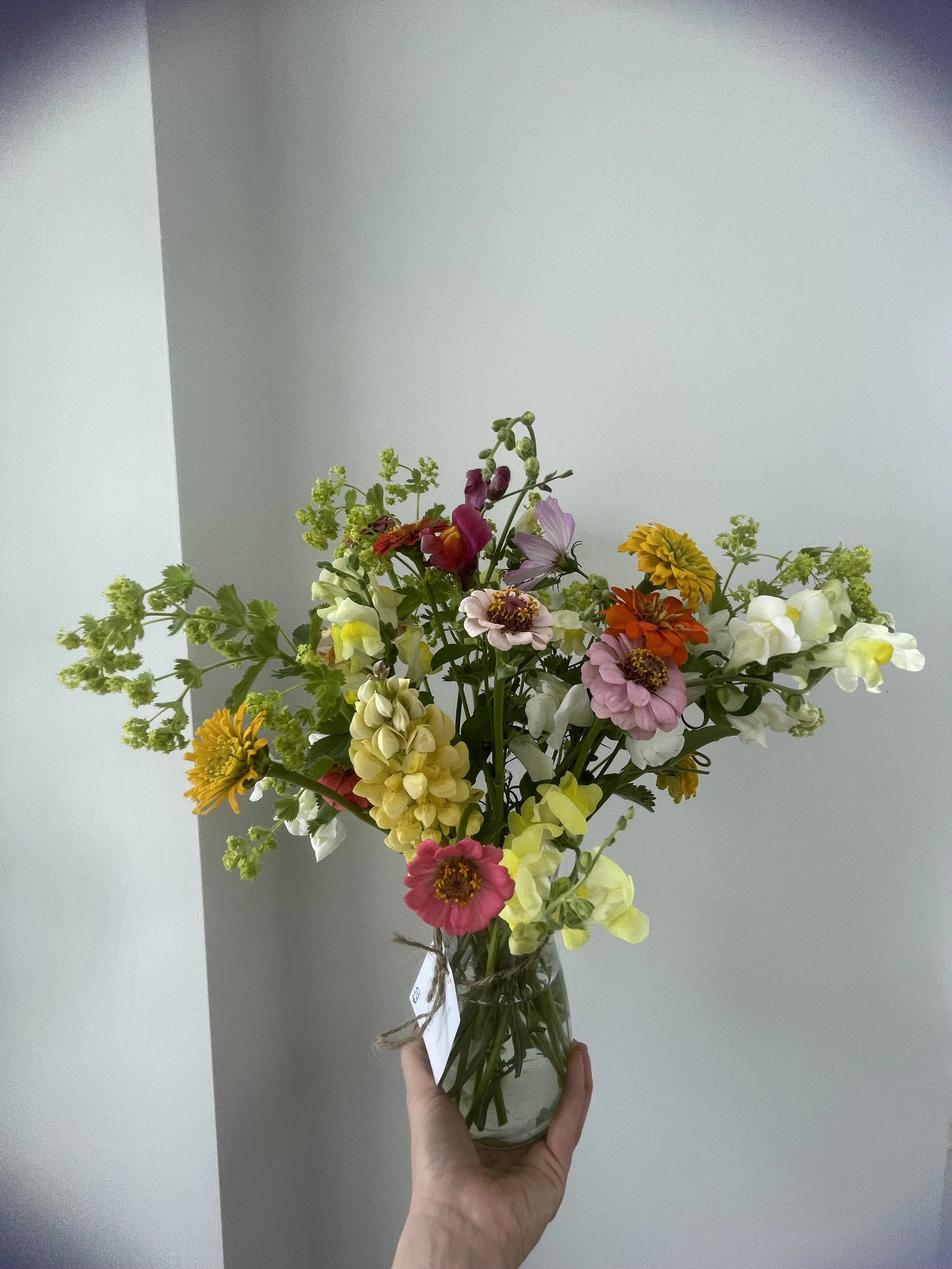 Seasonal flowers -Small