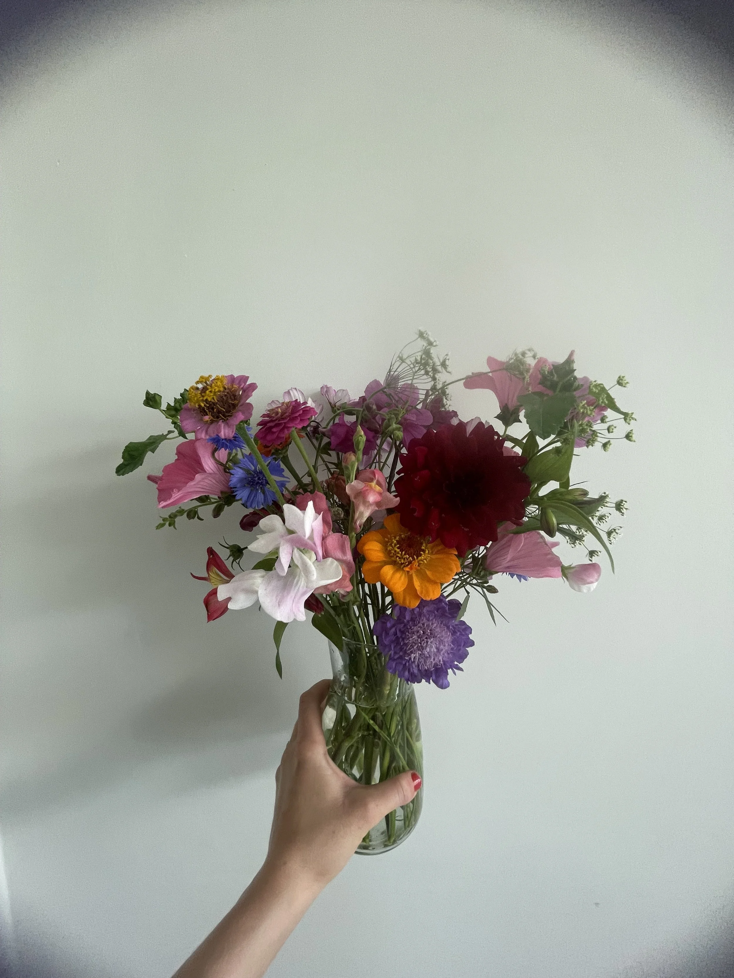 IMG_4634.jpeg