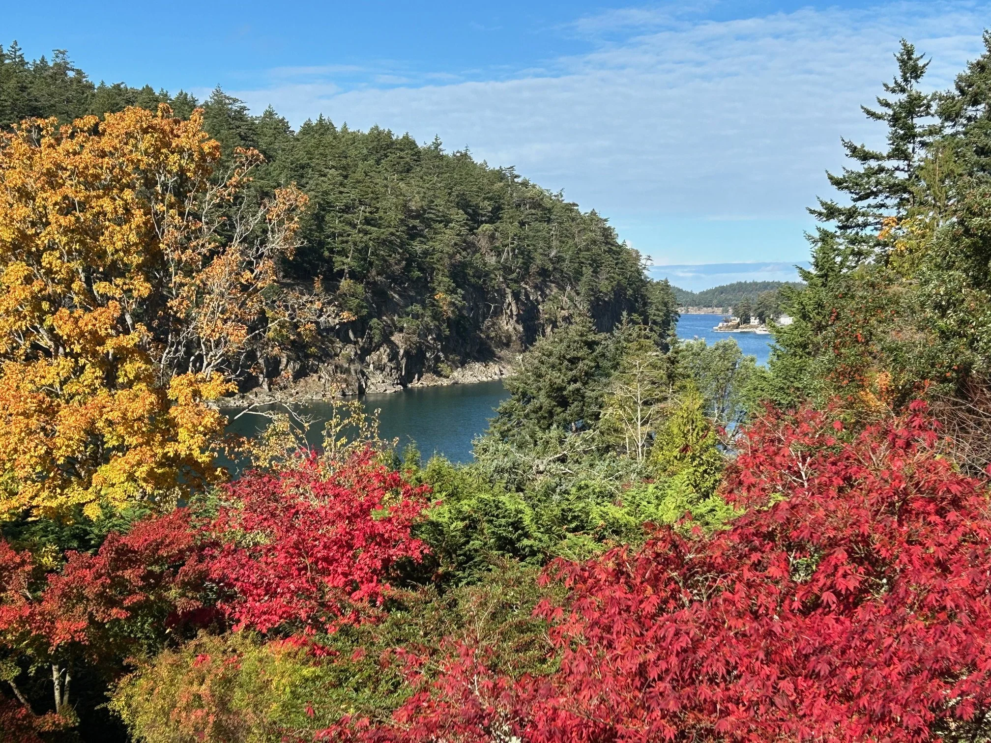 Colorful autumn trees along a river with rocky cliffs and a blue sky with some clouds.