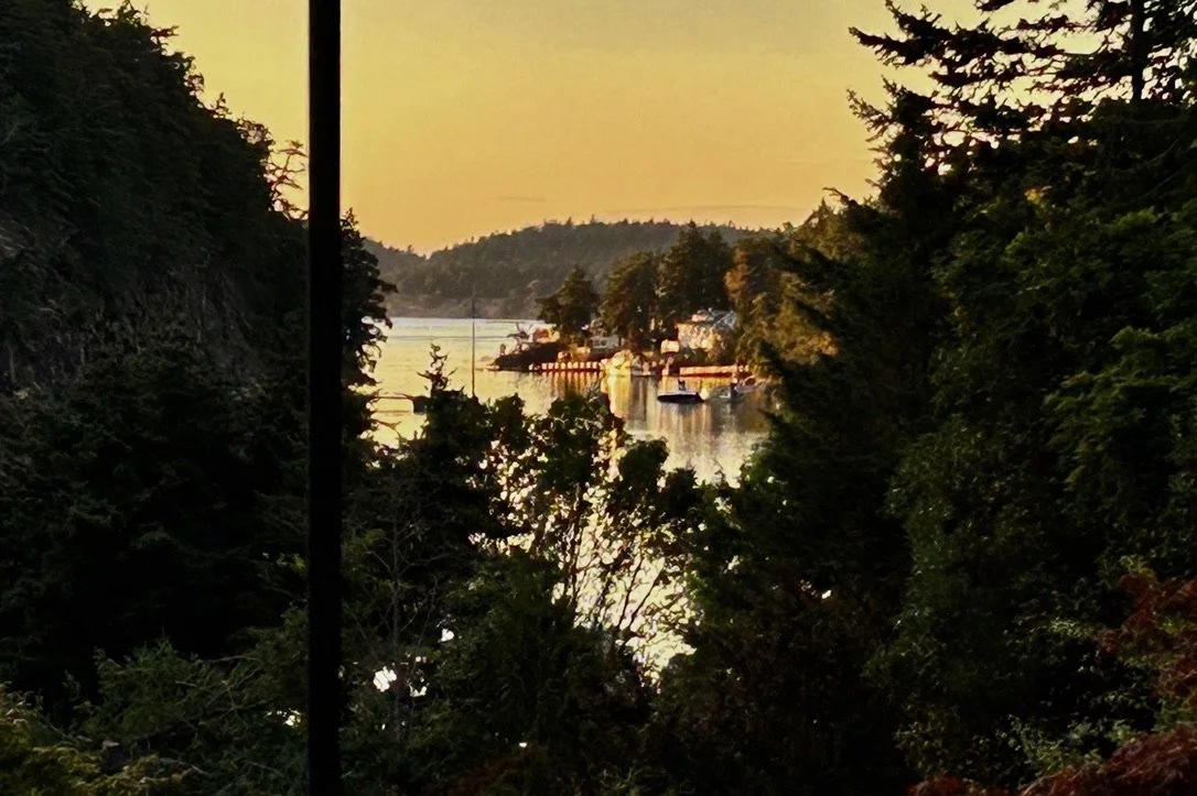 Sunset over a lake seen through dense green trees and bushes, with boats docked along the shoreline.