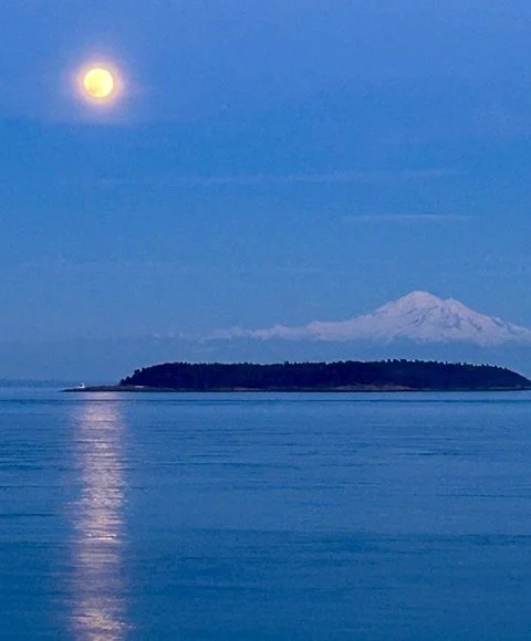A nighttime scene of a calm body of water with an island and a snow-capped mountain in the background, under a moonlit sky.