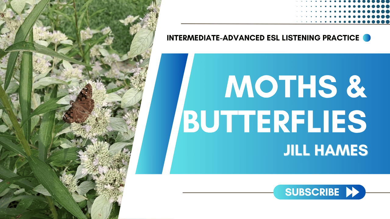 Moths and Butterflies ESL Listening Practice
