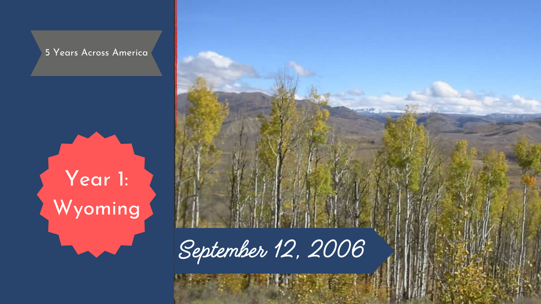 Yellow aspen trees with gray mountians behind