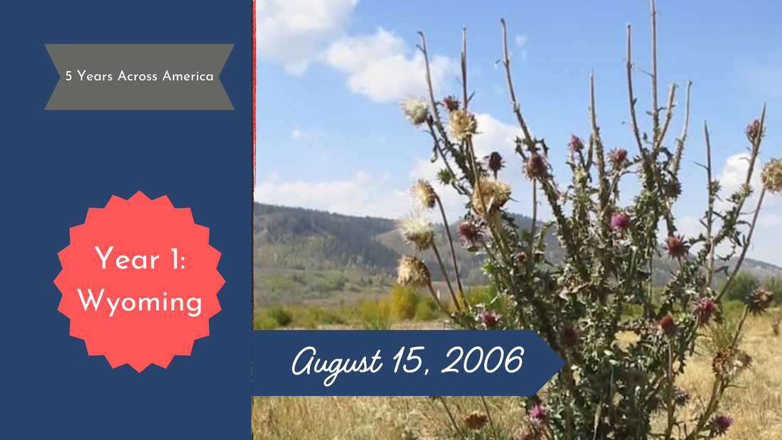 Tall thistle plant on a Wyoming landscape