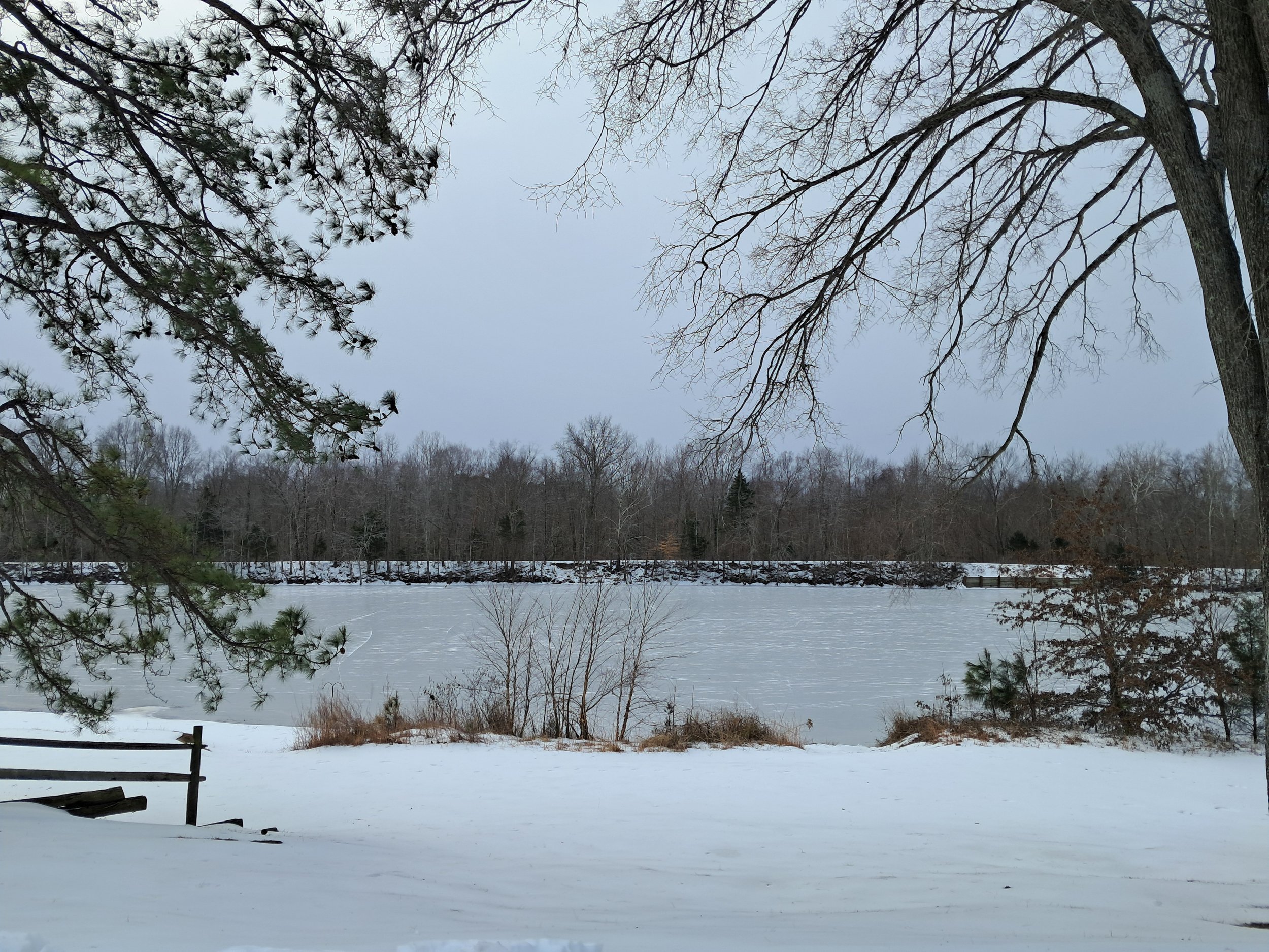 Frozen lake with decidious and evergreen trees around it