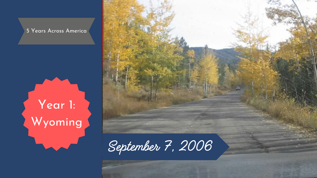 Paved road through yellow aspen trees