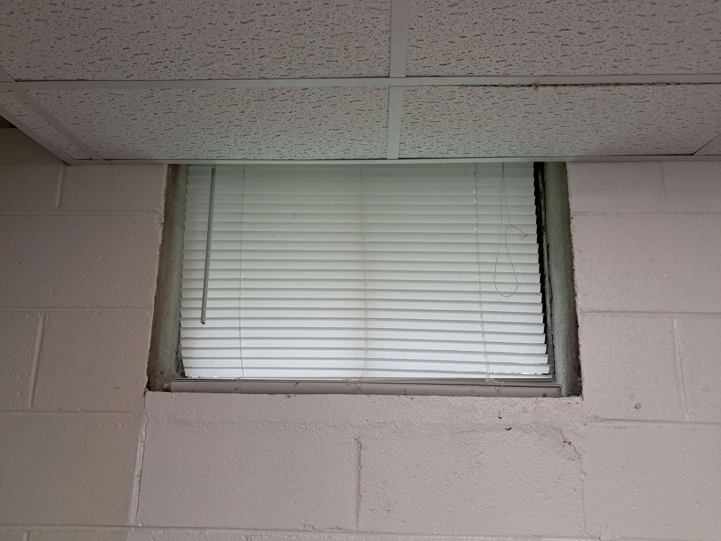 Narrow basement window
