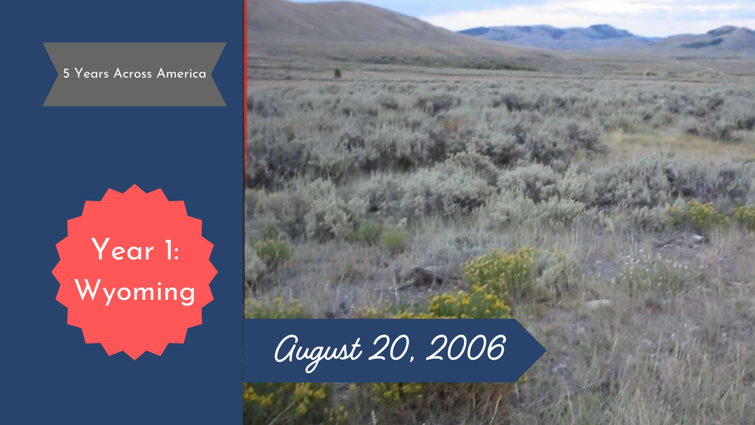 Field of sage brush with yellow and white flowers in the foreground and hills in the background