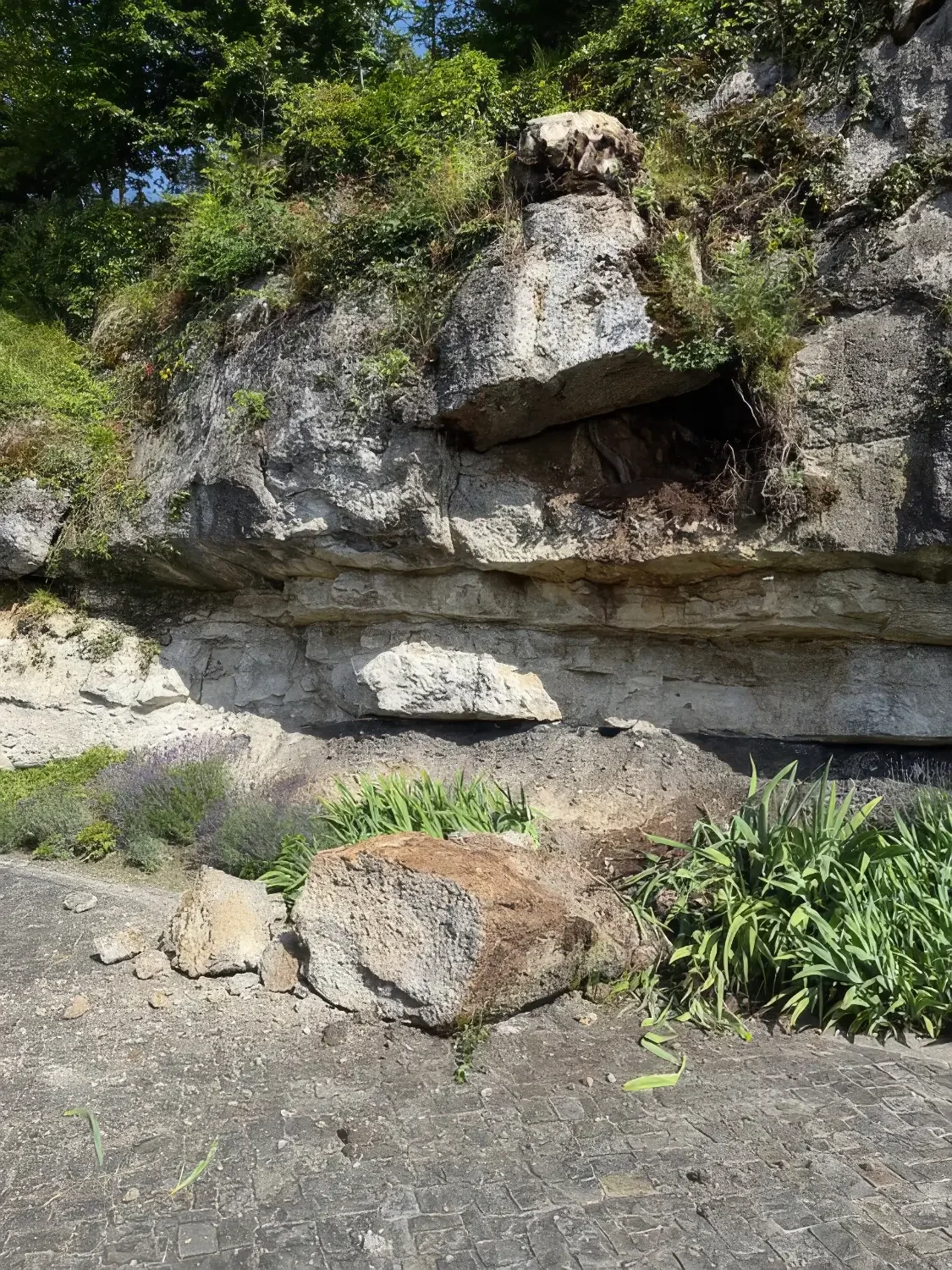 Felssturz am Gubelstein in der Schweiz vor Beginn der geologischen Rekonstruktion der Felswand.
