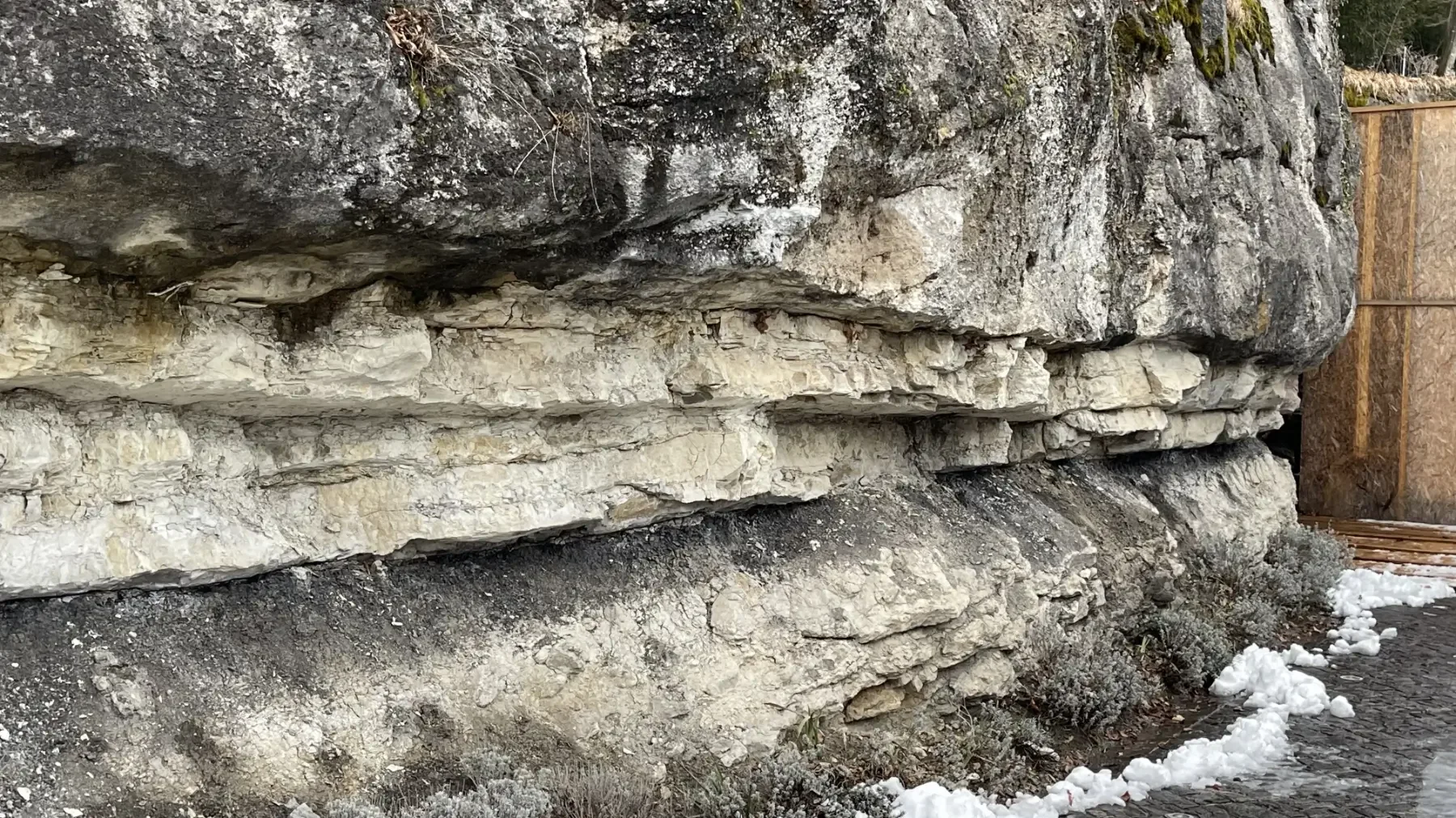 Natürliche Felswand am Gubelstein mit deutlich sichtbaren Gesteinsschichten aus Mergel und Nagelfluh.