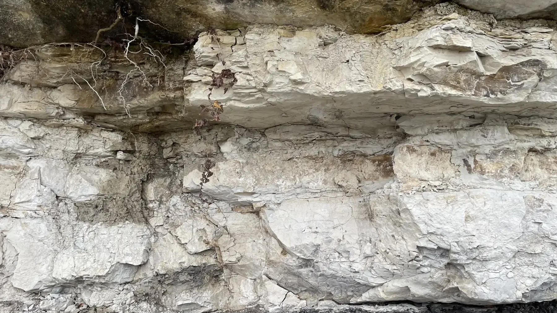 Natürliche Felswand am Gubelstein mit unterschiedlichen Gesteinsschichten und charakteristischen geologischen Strukturen.