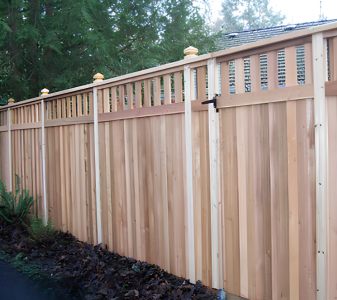 Cedar Fences