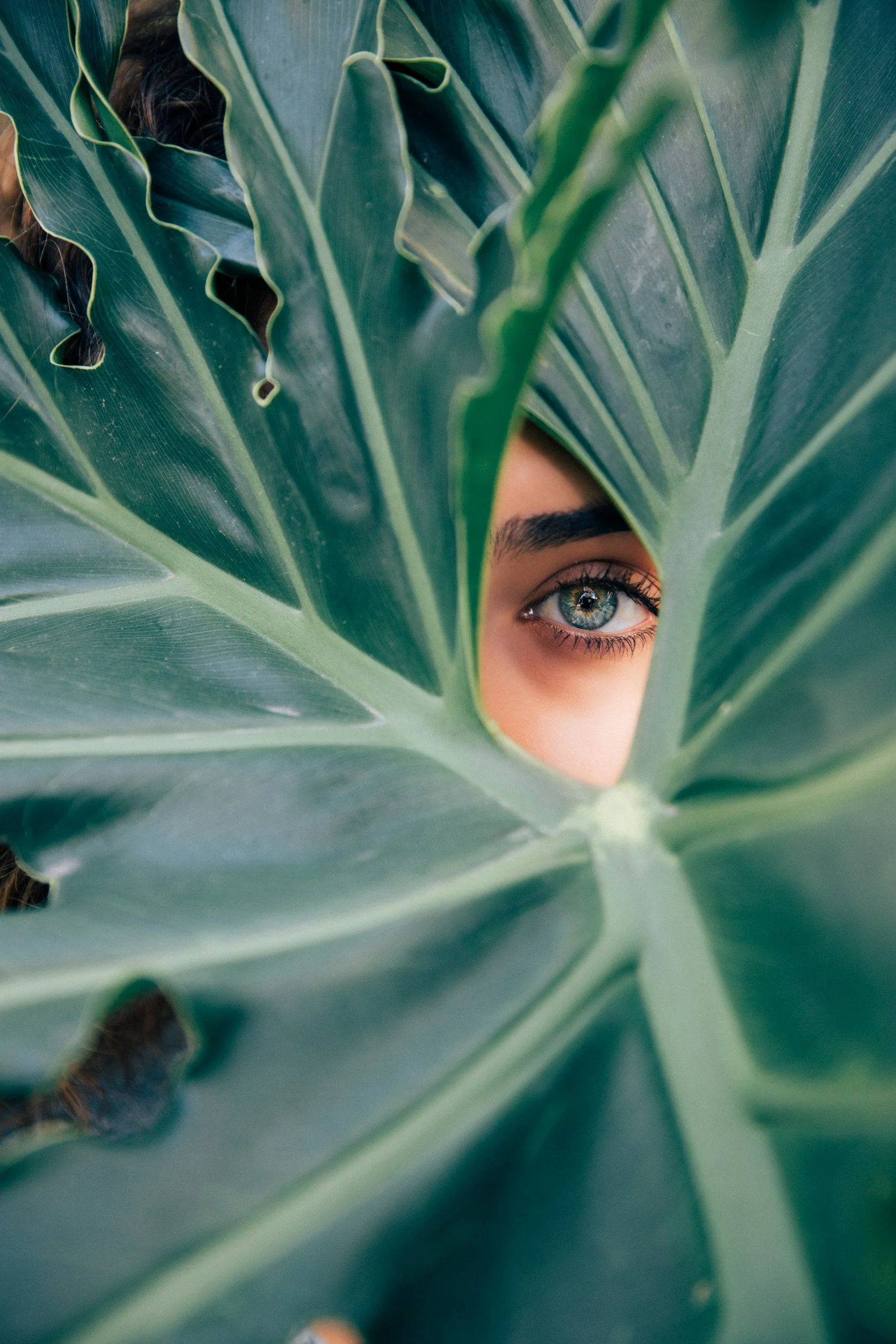 Close-up of a woman’s face with blue eyes peering through large green tropical leaves.
