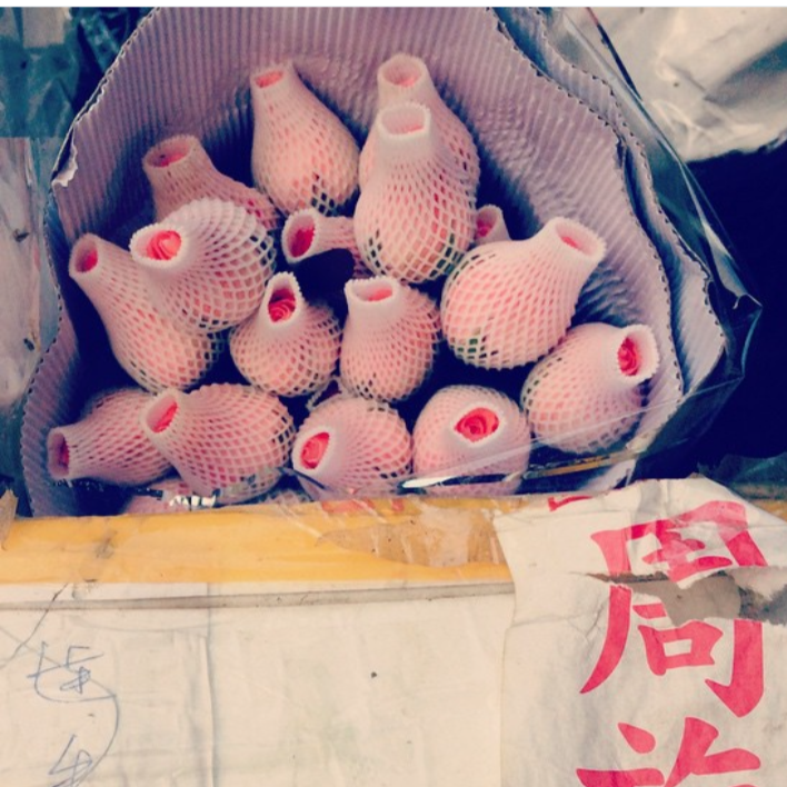 A basket of small fish wrapped in pink protective foam sleeves, likely used for handling or shipping.
