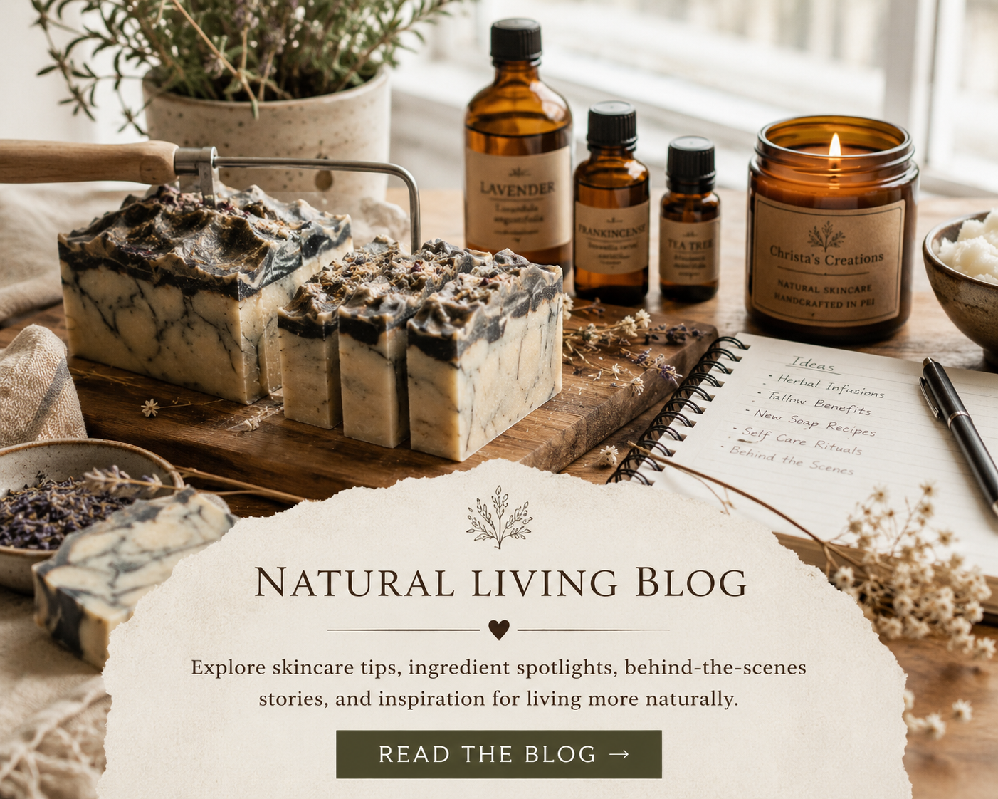 Explore natural skincare tips, ingredient spotlights, behind-the-scenes stories, and inspiration for living naturally with Christa's Creations.