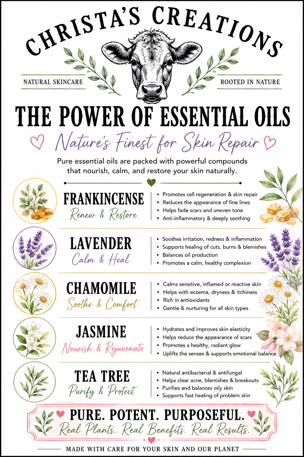 A detailed skincare infographic featuring essential oils such as frankincense, lavender, chamomile, jasmine, and tea tree, with illustrations of each plant, promoting natural skin repair and healing.