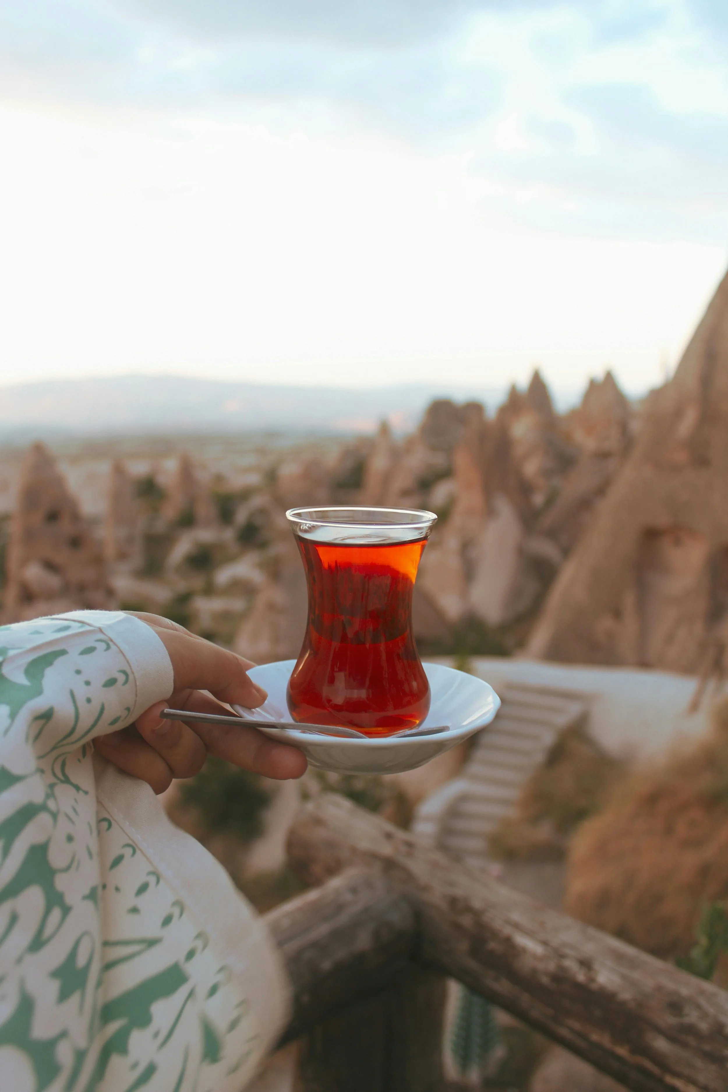 pexels-merve-gny-313367877-27164776.jpg
