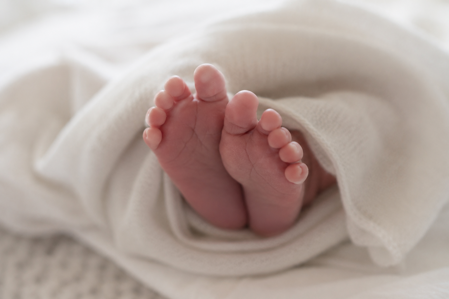 Close-up of a newborn baby's feet wrapped in white cloth.