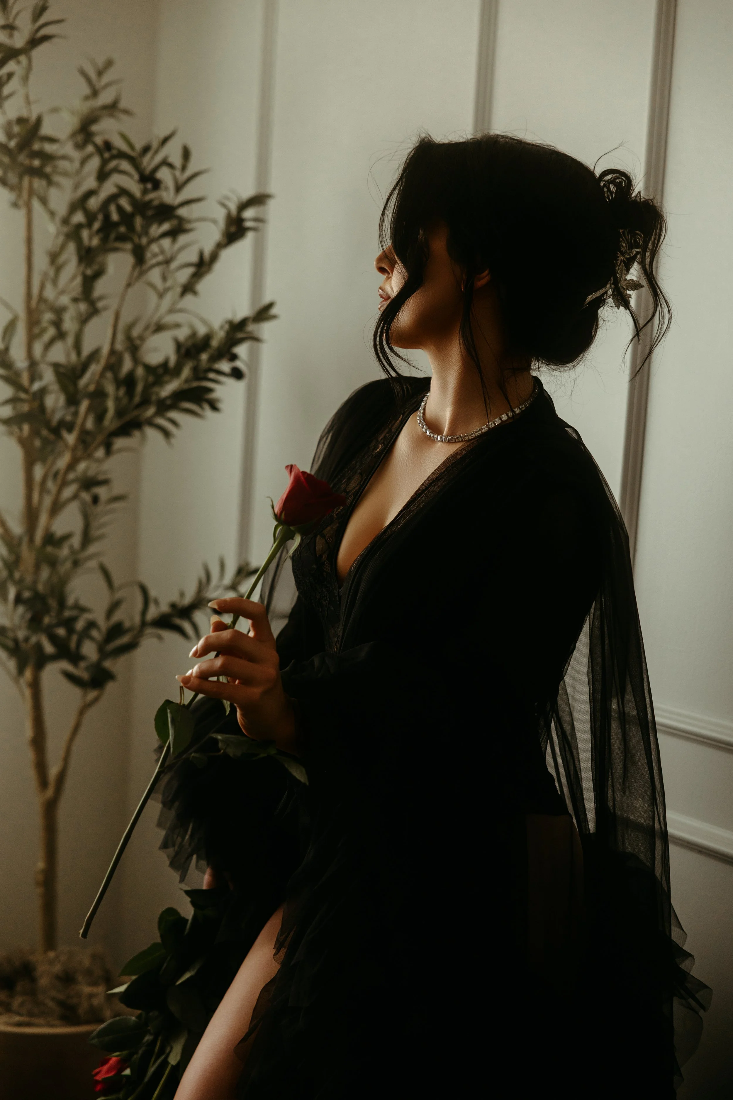 Mistress Sorina Noire, private dominatrix in Toronto