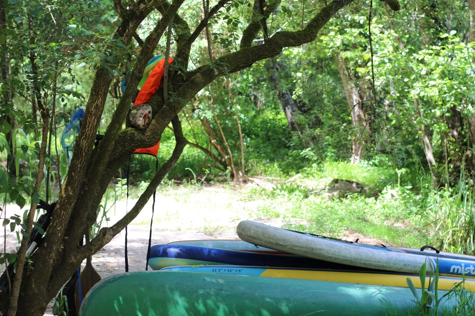 A lush green outdoor scene with boats and paddles leaning against a tree. The boats include a green kayak and a blue and yellow paddleboard. A small orange object and a rock are in the tree's branches.