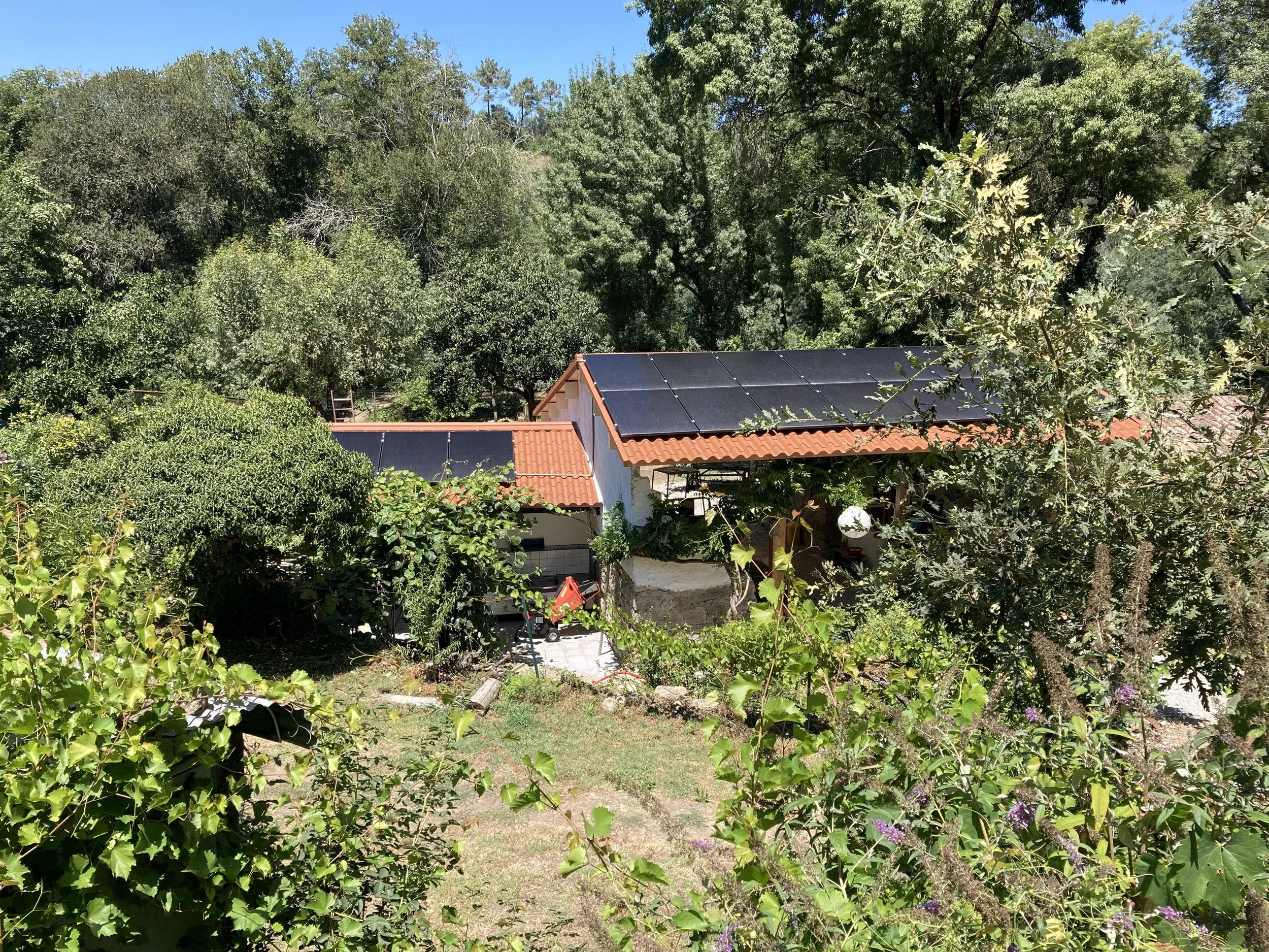 A backyard with lush green trees, a house with solar panels on the roof, and a grassy yard with some purple flowers.