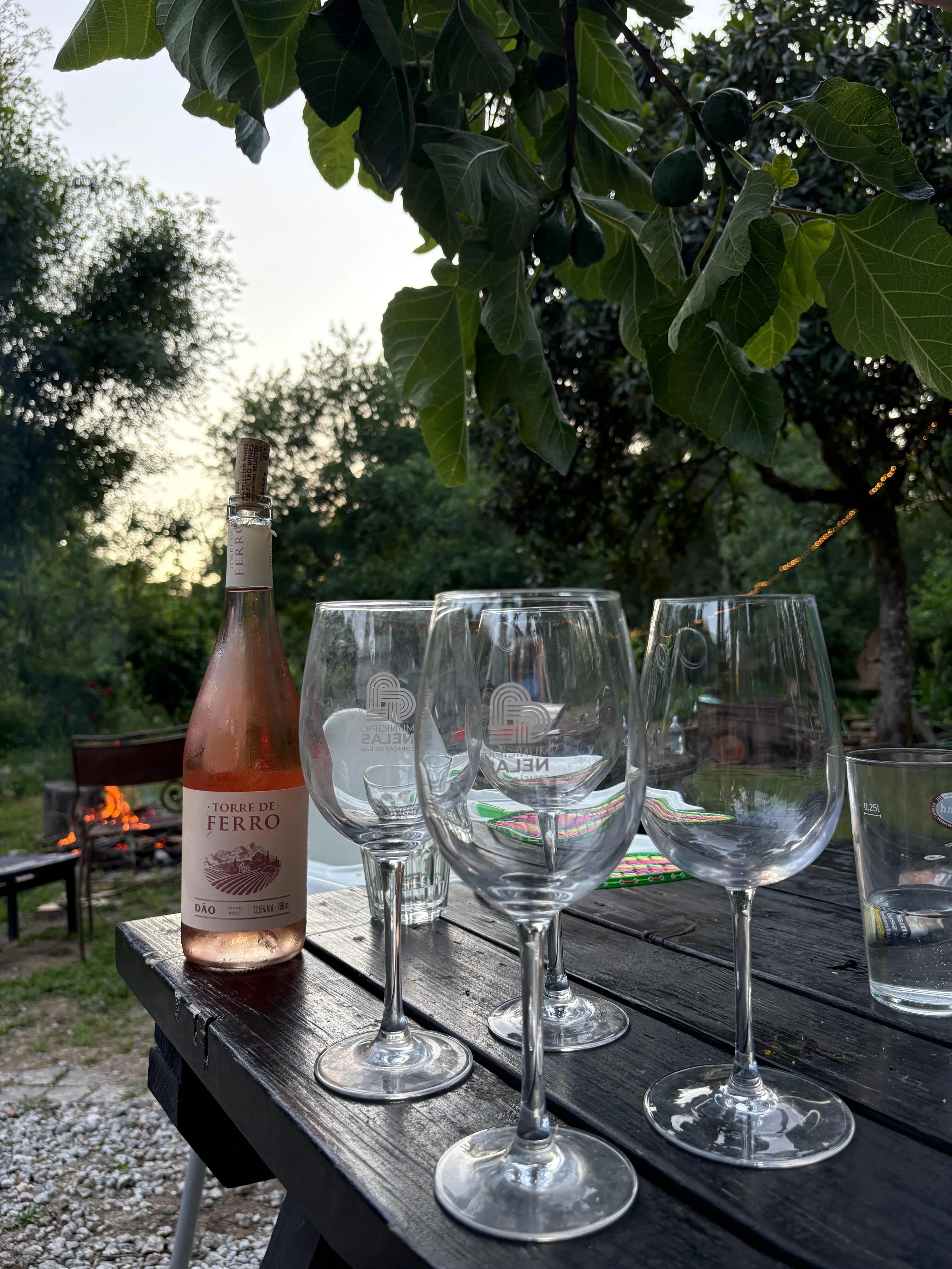 A picnic table outdoors with five wine glasses, a pink bottle of wine, and a glass of water, surrounded by greenery and trees, with a firepit in the background.