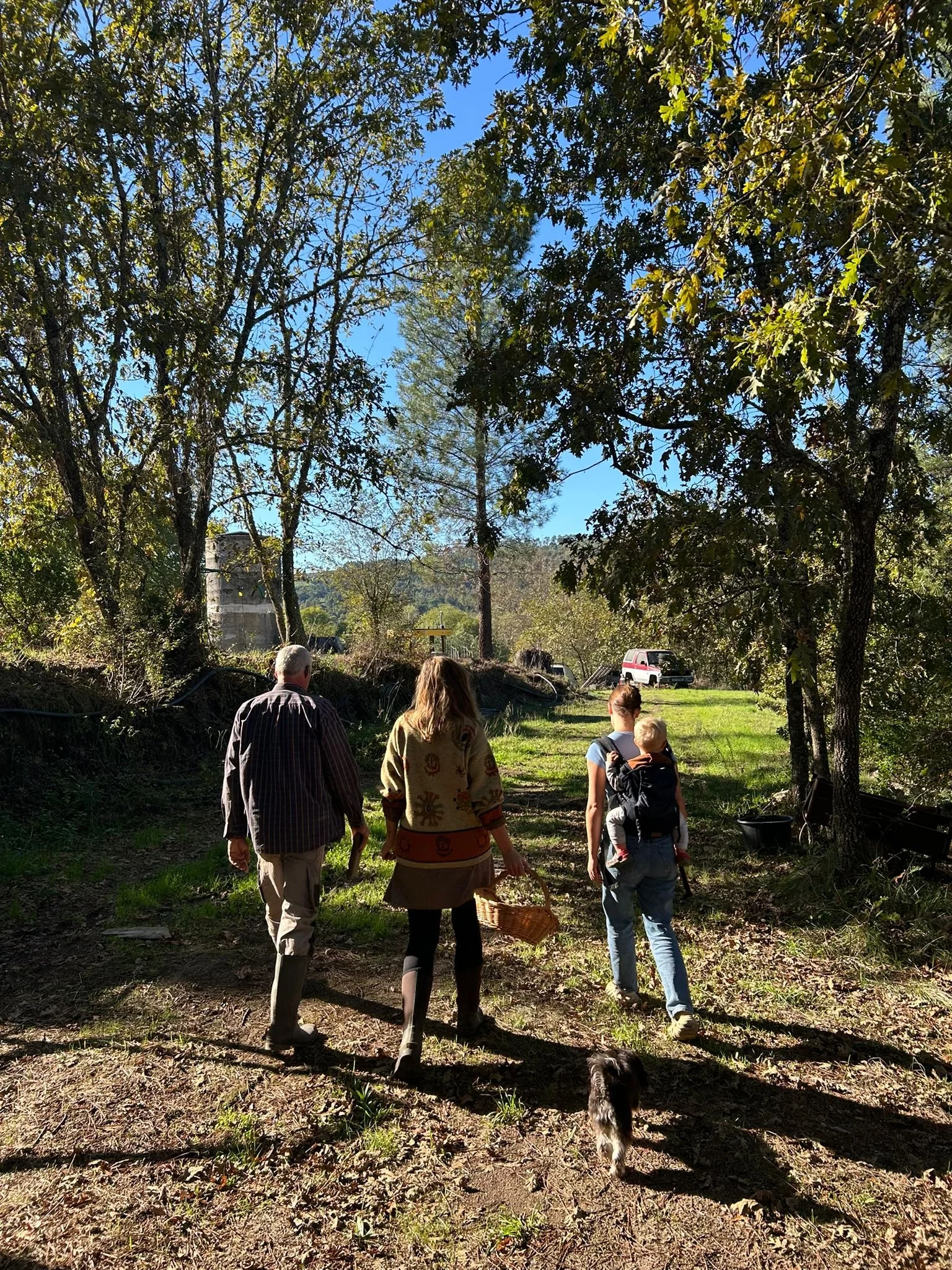 People walking outdoors in a wooded area with trees and a clear blue sky.