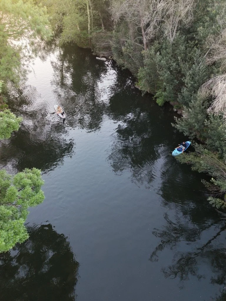Bird's eye view of a river with two people paddleboarding, surrounded by lush green trees.