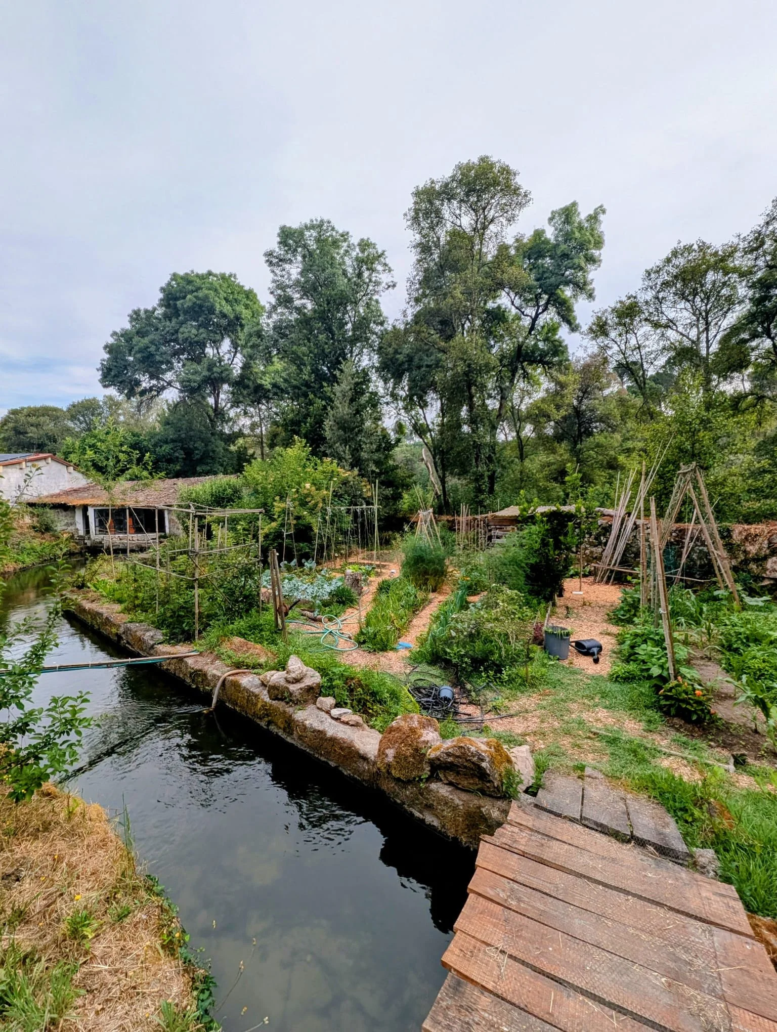 Grüner Garten mit kleinen Beeten, Holzstegen und Fluss im Vordergrund, im Hintergrund große Bäume bei bewölktem Himmel.