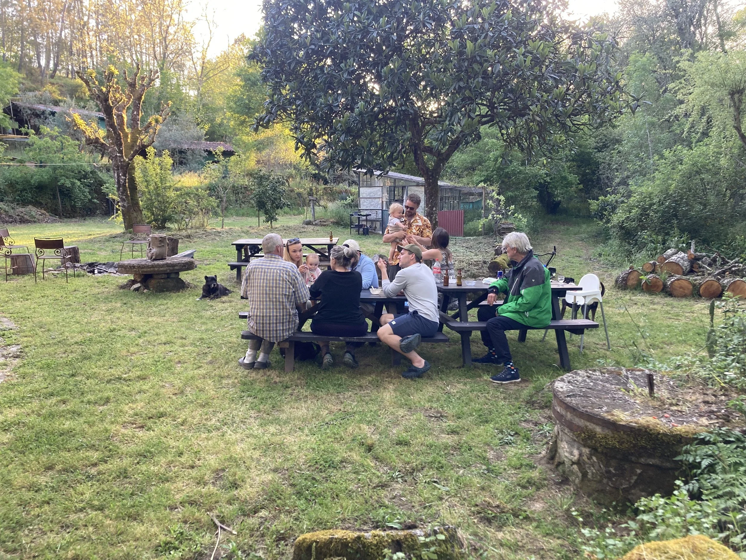Group of people having a picnic outdoors in a wooded backyard with trees, logs, and a picnic table, during daytime with sunlight filtering through the trees.