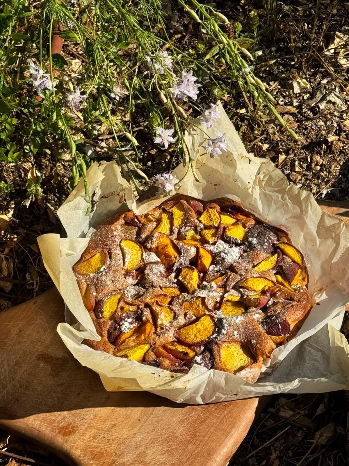 A freshly baked fruit tart with sliced yellow and red peaches sprinkled with powdered sugar, resting on parchment paper outdoors on a wooden surface amid green plants and purple flowers.