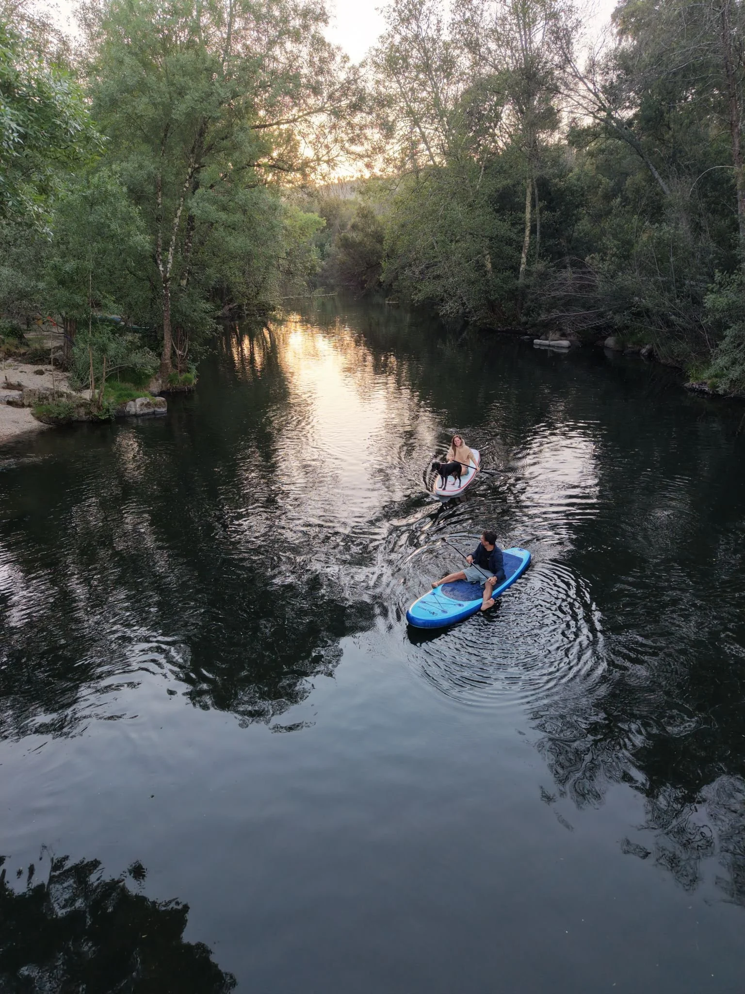A woman paddleboarding on a calm river surrounded by lush green trees during sunset, with a dog standing on her paddleboard and a man on a smaller paddleboard nearby.