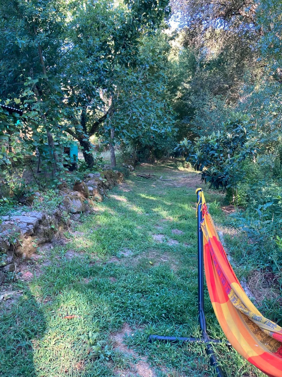 A garden path surrounded by trees and bushes with a yellow and orange hammock chair in the foreground.