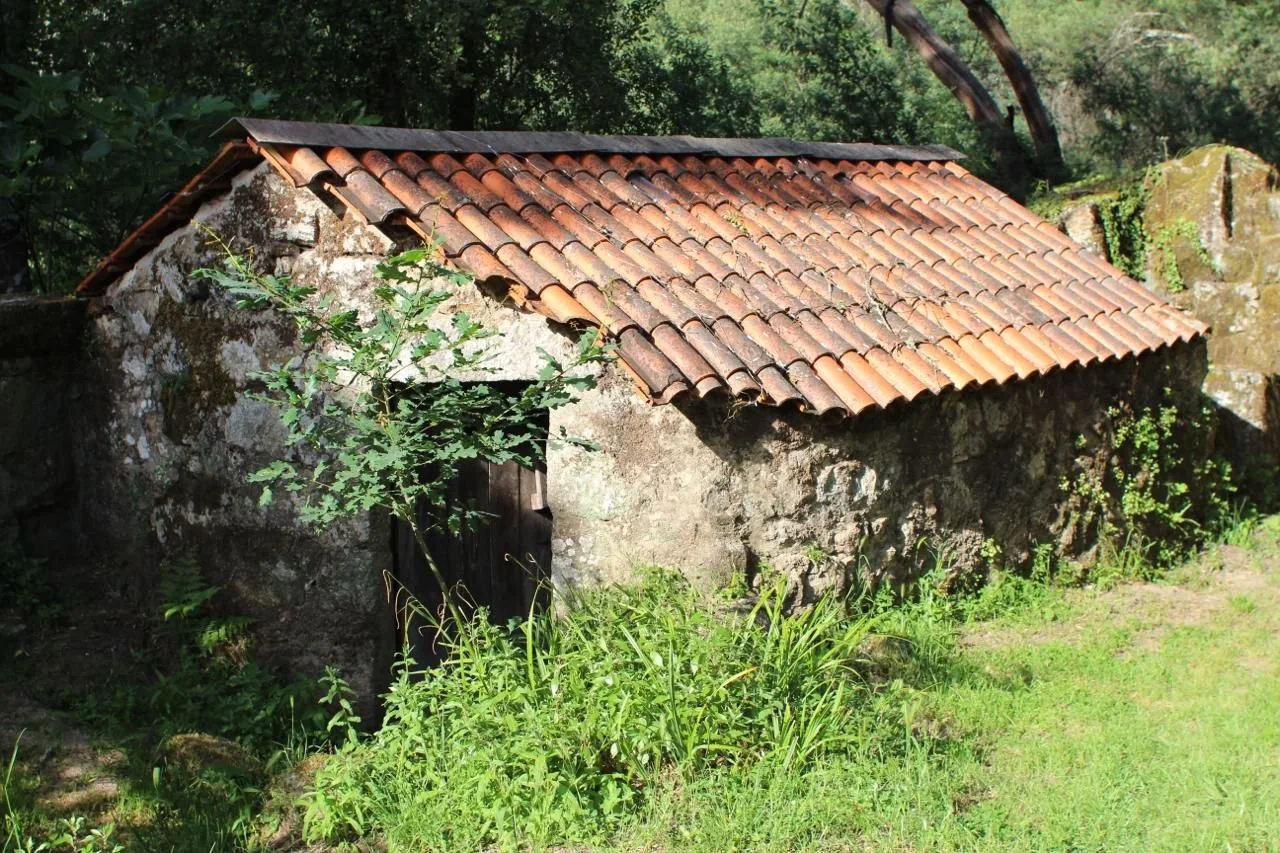 An old stone shed with a sloped red tile roof, surrounded by green grass and shrubs.