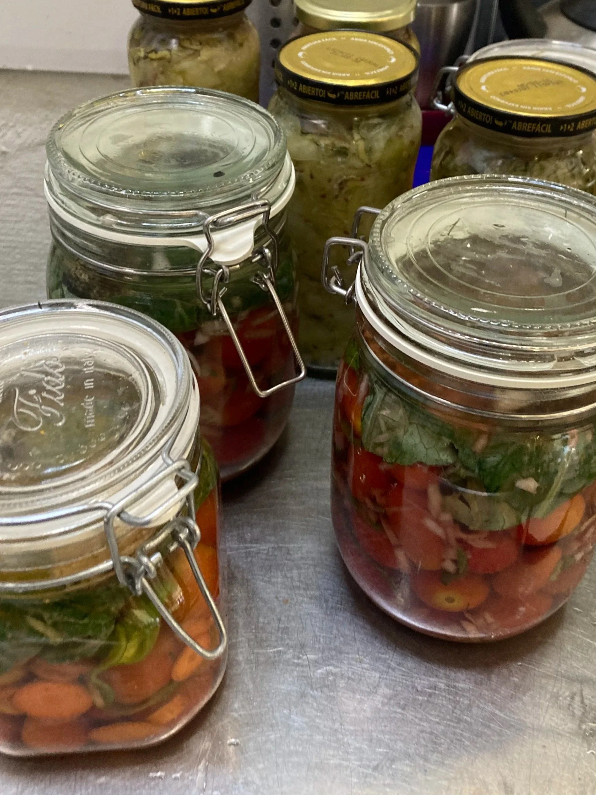Several glass jars filled with pickled vegetables and possibly herbs, with metal clamp lids on a metal surface.